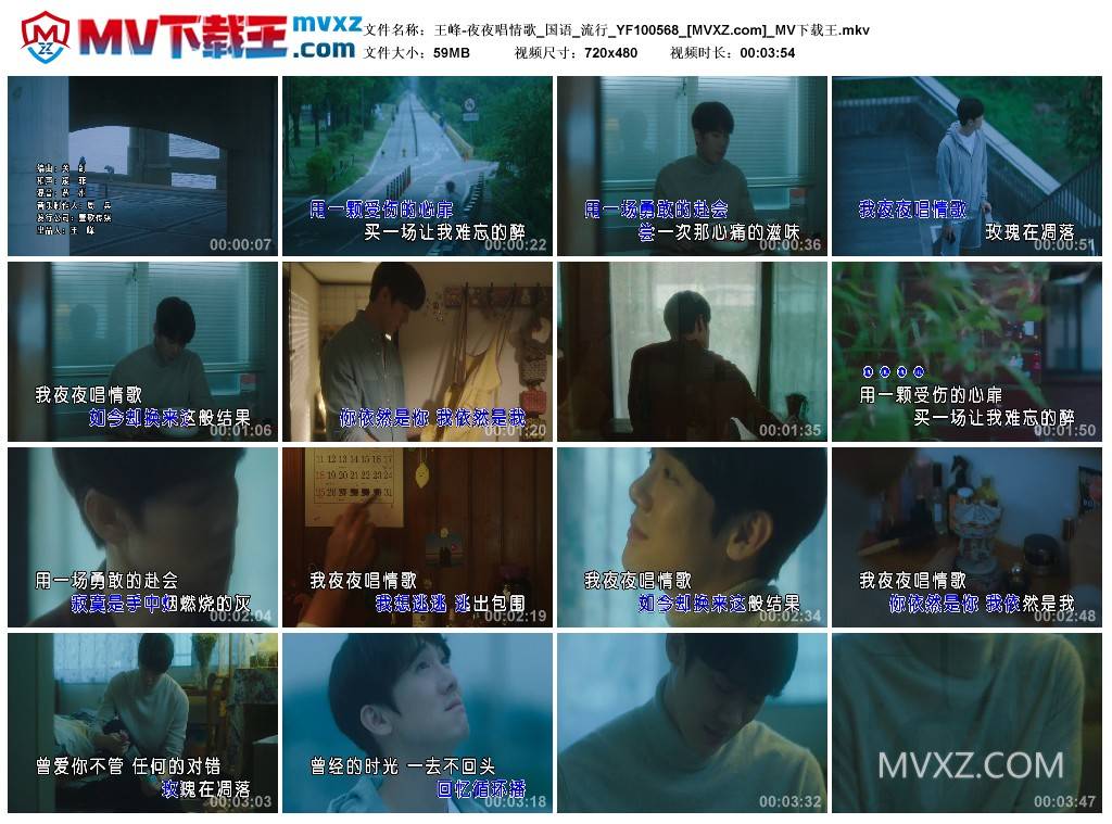 王峰-夜夜唱情歌_国语_流行_YF100568